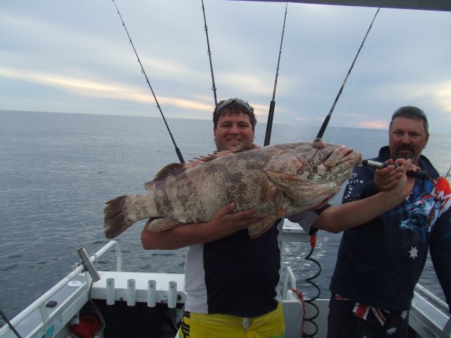 Dan1's Estuary Cod